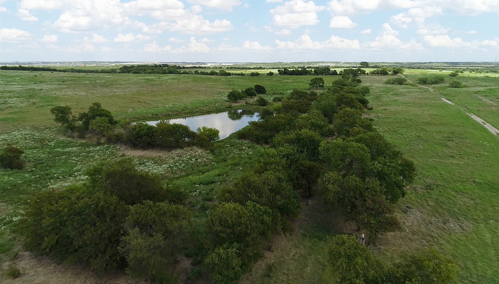 Fields Pond and open green space in Frisco, Texas